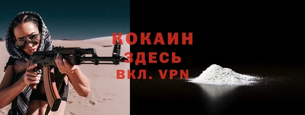 соль ск Алексин