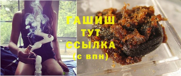 прущие грибы Рославль