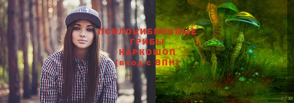 МДПВ Ростов