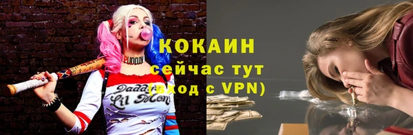 прущие грибы Рославль